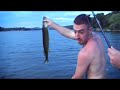 27 Inch Pickerel