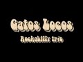 legendario trio de rockabilly de argentina formado por don gato en contrabajo y voz-benito en guitarra y coros y gaby dast en bateria y coros
