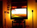 Momolight - The Lion King HD Momolight - The Lion King HD