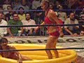 Lola vs Dra Corazon