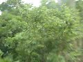 Zip line ride