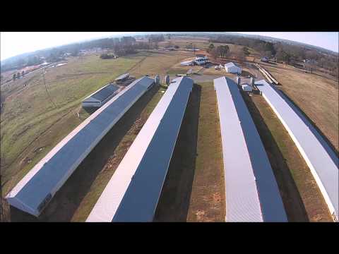 Cullman County Poultry & Cattle Farm