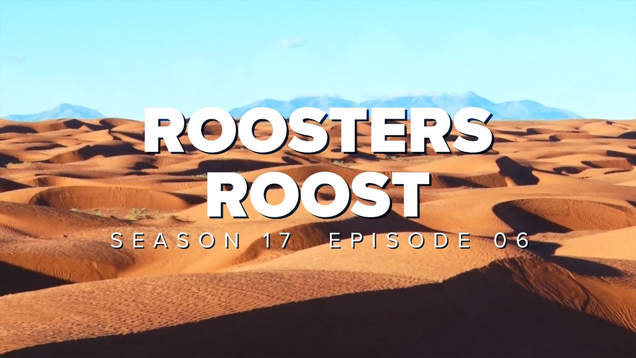 S17 E06: Roosters Roost
