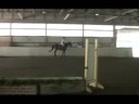 Rascal's Display