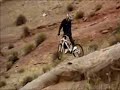NWD6 Crashes