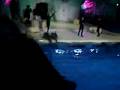 Sinterklaas in het dolfinarium 2