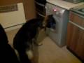 washing machine attack part 2 washing machine attack part 2