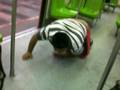 videos de Chan Chan en el metro