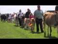 A&P Show 2010 - Grand Parade View Video