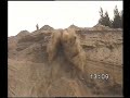 Formula Offroad Meistrivõistlused Soomes / Raido Mardim 6.