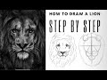 How To Draw A Realistic Lion Head Step By Step