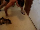 kitty spinning