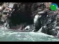 Ica Paracas y Nazca