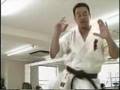 Kyokushin karate speed kick tutorial