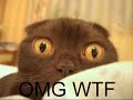 people i respect that play rs taggs gross gore 
