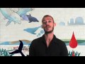 Daniel Johns of Silverchair Is Glad for IFAW