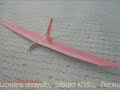 100 Jahre Nurflügel / A century of flying wings 100 Jahre Nurflügel / A century of flying wings