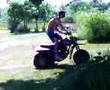 Three-Wheeler