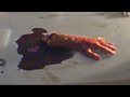 Severed Hands and Explosions : Your FX