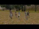 Metin 2 Dance