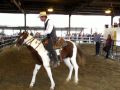 Rosie at Tulare, Ca. Horse Show 11/7/09