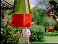 Humming birds - David Attenborough  - BBC wildlife