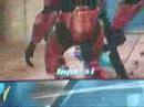 swat fieasta swat fieasta