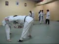 Randori APJ Randori APJ