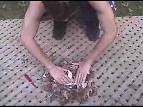 Building a Fire with Flint and Magnesium