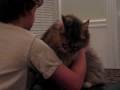 Maine Coon Loving His Boy Maine Coon Loving His Boy