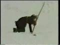 Toten Nær-TV Prøverør-Sending Fra 1981 DEL 2