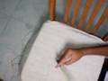 sunburts mx..