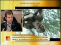 ESPEJO PUBLICO A3 - A SANGRE FRIA -
