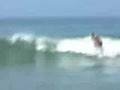 MANE-VIDEO