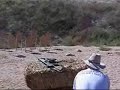 october pima match