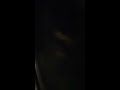 Click here to watch this video 12in pioneer and Sony explod