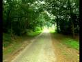 Vervolging geeist in moordzaak Schijf