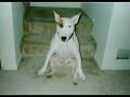 videos de Zekester.wmv