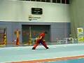 VICTOR DAOSHU CLM WUSHU