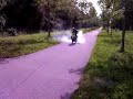 StreetZipSp Wheely + Rollin Burn