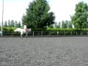 Cantering on Freckles