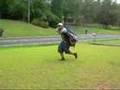P-Head Move