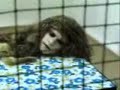 ghosts, witches, goblin an more -fantasmas, brujas, duendes