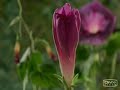 \"?? ???? ?????\" ???? ?????? ???? ???????? ?????