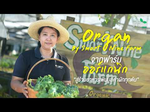 “Organ by Smart Nine Farm” จากฟาร์มออร์แกนิก สู่ร้านอาหาร เพิ่มมูลค่าผักทุกต้น