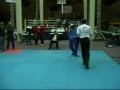 kickbox lightcontact fights