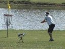2008 U.S.D.G.C. Disc Golf - 02