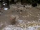 Flooding 3