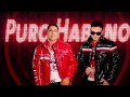 Nando Pro La Cosquillita Official Music Video and Lyrics