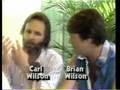 itw w/ Carl & Brian Wilson @ Live Aid 85